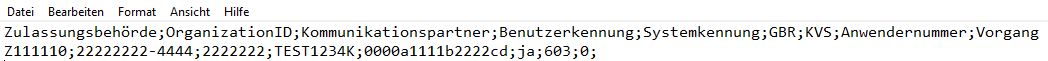 Notepad CSV Trennzeichen getrennt Ansicht