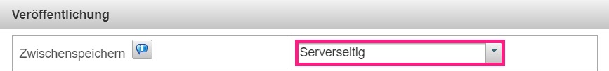 Serverseitiges Zwischenspeichern