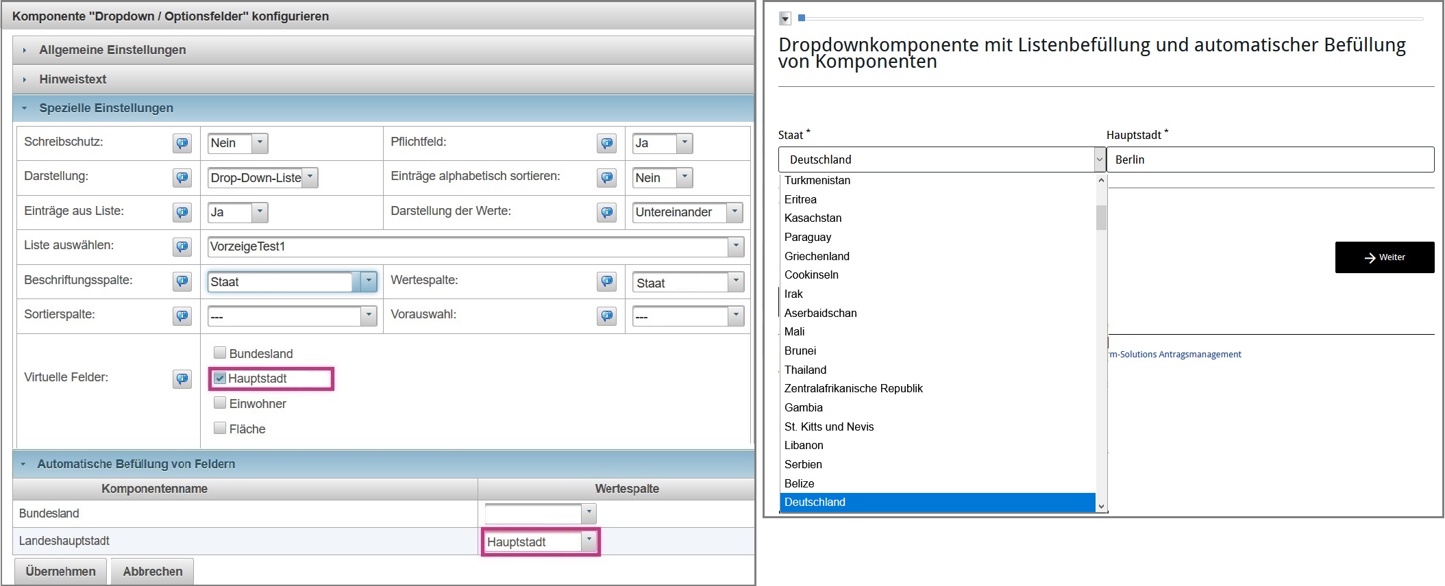 Konfiguration der Dropdownkomponente und Virtuelle Felder